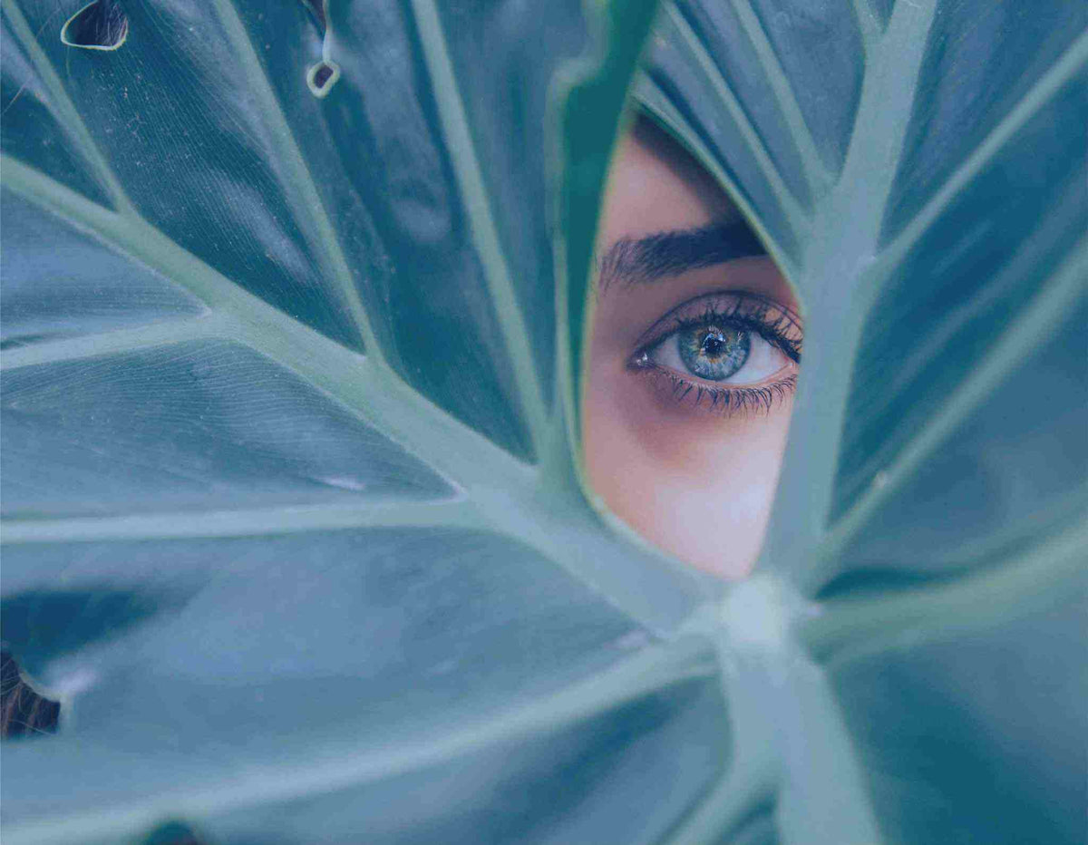 Without Blue Light Eye Protection, Millions Could Be at Risk of Eye Damage